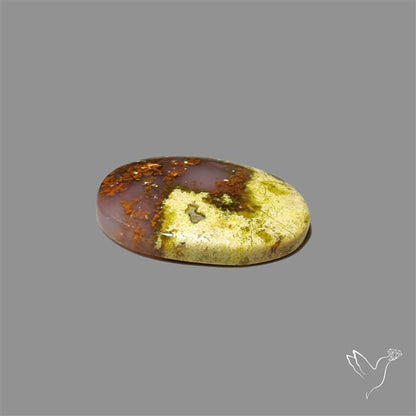Agatized Green Petrified Wood