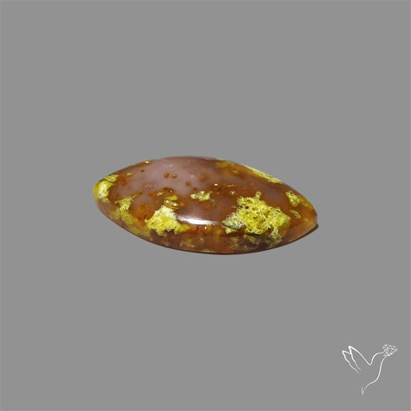 Agatized Green Petrified Wood
