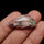 Bloodshot Iolite Sunstone Cabochon with Green Tourmaline Inclusion
