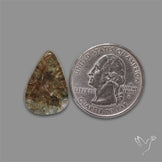 Lodolite Garden Quartz with Golden Rutile Inclusions Cabochon (Raw Backs)