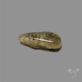 Lodolite Garden Quartz with Golden Rutile Inclusions Cabochon (Raw Backs)