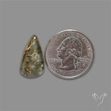 Lodolite Garden Quartz with Golden Rutile Inclusions Cabochon (Raw Backs)