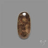 Lodolite Garden Quartz with Golden Rutile Inclusions Cabochon (Raw Backs)