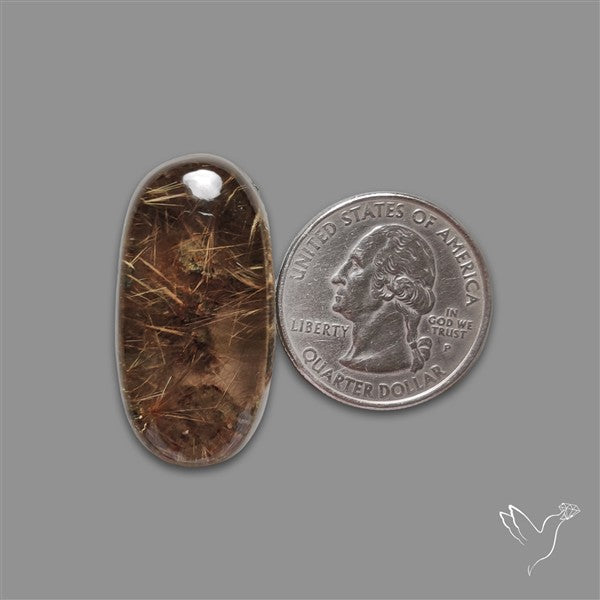 Lodolite Garden Quartz with Golden Rutile Inclusions Cabochon (Raw Backs)