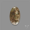 Lodolite Garden Quartz with Golden Rutile Inclusions Cabochon (Raw Backs)