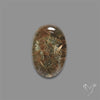 Lodolite Garden Quartz with Golden Rutile Inclusions Cabochon (Raw Backs)