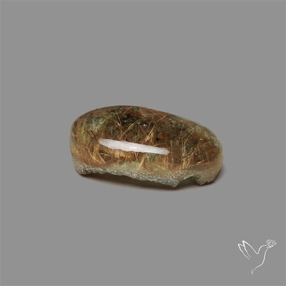 Lodolite Garden Quartz with Golden Rutile Inclusions Cabochon (Raw Backs)