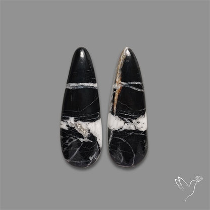 White Buffalo Turquoise Pair