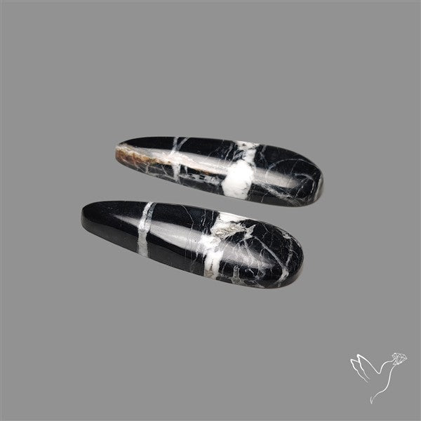 White Buffalo Turquoise Pair