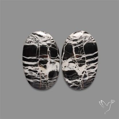 Large White Buffalo Turquoise Pair