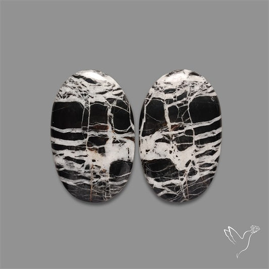 Large White Buffalo Turquoise Pair