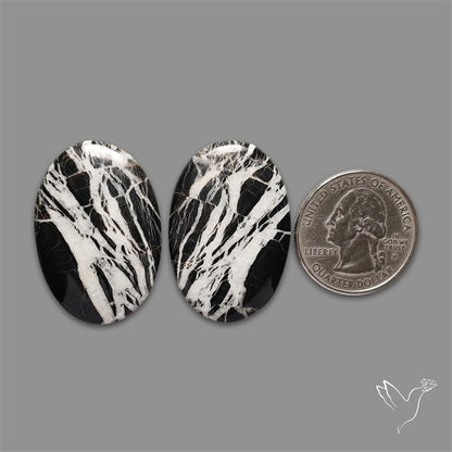 Large White Buffalo Turquoise Pair