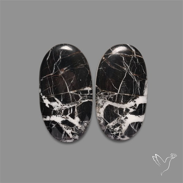 Large White Buffalo Turquoise Pair