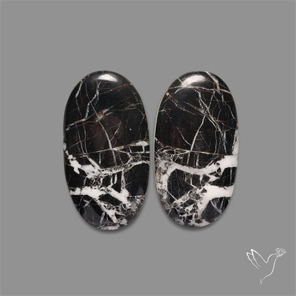 Large White Buffalo Turquoise Pair