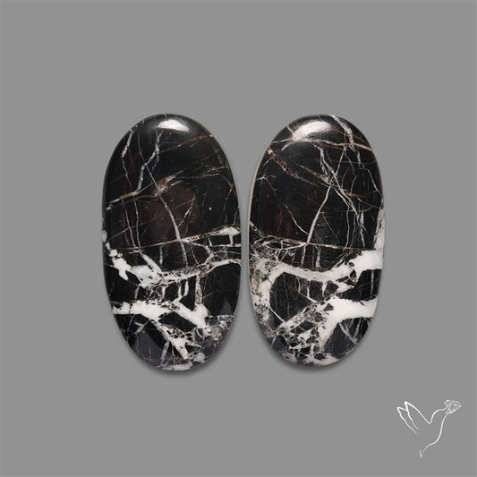 Large White Buffalo Turquoise Pair