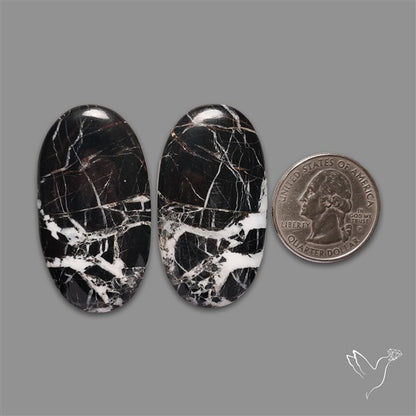 Large White Buffalo Turquoise Pair