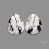 Large White Buffalo Turquoise Pair