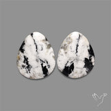 Large White Buffalo Turquoise Pair