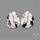 Large White Buffalo Turquoise Pair