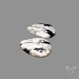 Large White Buffalo Turquoise Pair