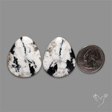 Large White Buffalo Turquoise Pair