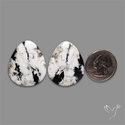 Large White Buffalo Turquoise Pair