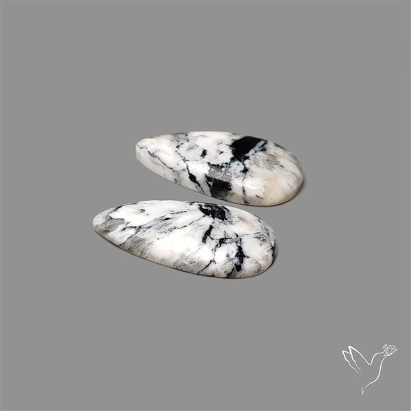 White Buffalo Turquoise Pair