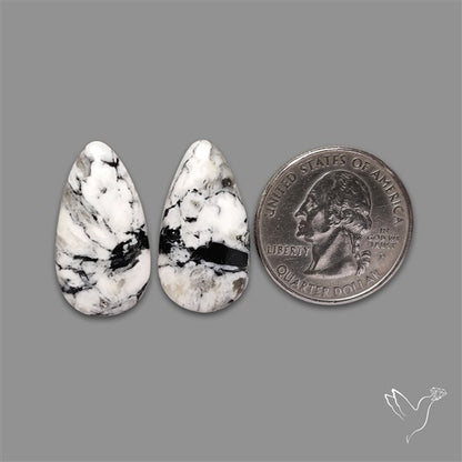 White Buffalo Turquoise Pair