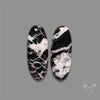 White Buffalo Turquoise Pair