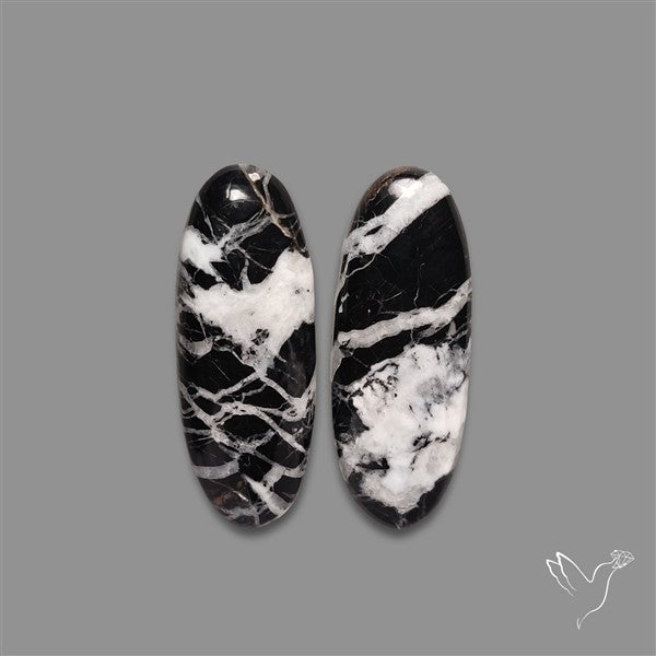 White Buffalo Turquoise Pair