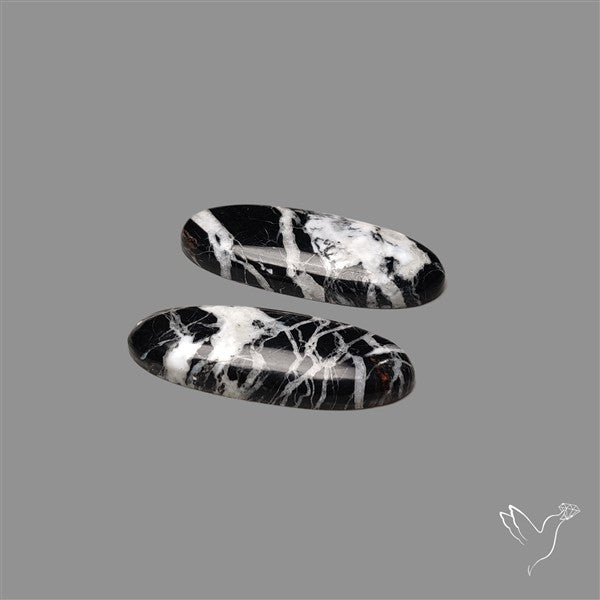 White Buffalo Turquoise Pair