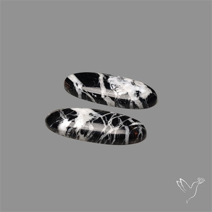 White Buffalo Turquoise Pair