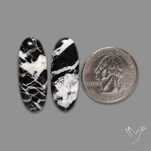 White Buffalo Turquoise Pair