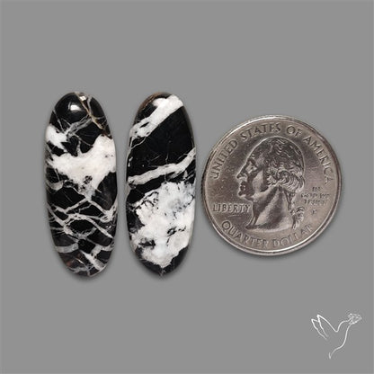 White Buffalo Turquoise Pair