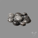 Black Fossil Coral Cabochons Lot