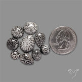 Black Fossil Coral Cabochons Lot