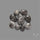 Black Fossil Coral Cabochons Lot