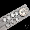 Portrait Cut Himalayan Quartz Lot