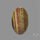 Australian Imperial Jasper Cabochon