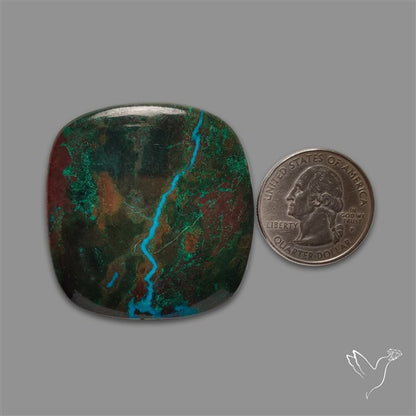Peruvian Ribbom Chrysocolla Matrix Cabochon