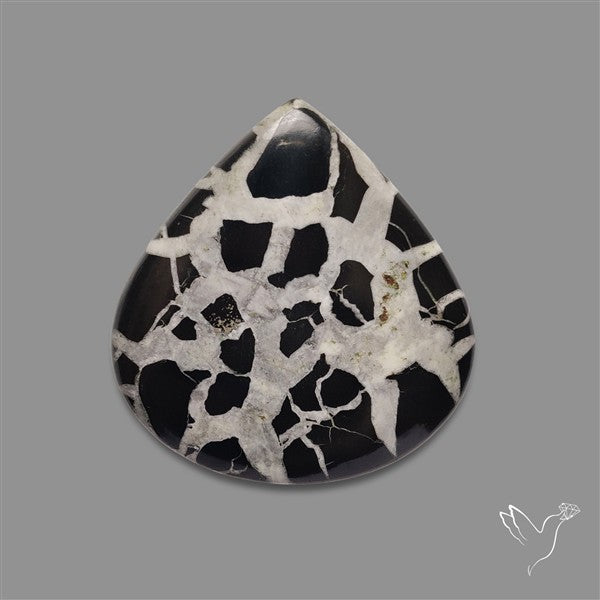 Black Septarian Cabochon