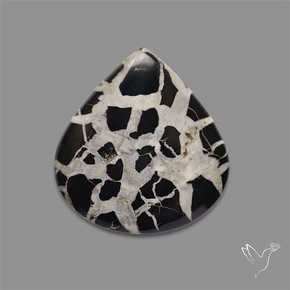 Black Septarian Cabochon