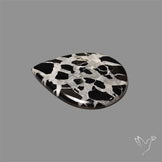 Black Septarian Cabochon
