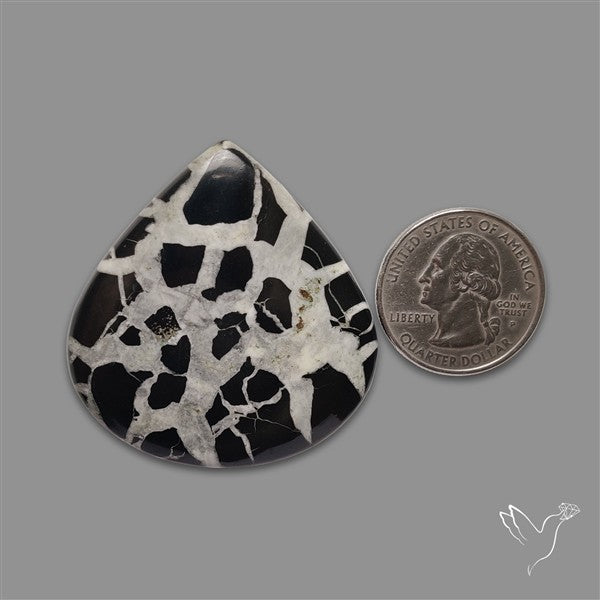Black Septarian Cabochon