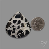 Black Septarian Cabochon