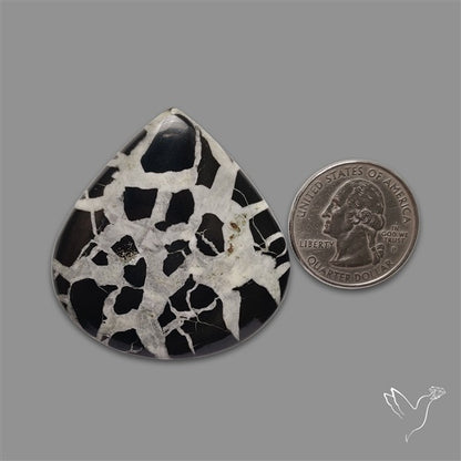 Black Septarian Cabochon
