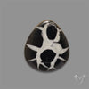 Black Septarian Cabochon
