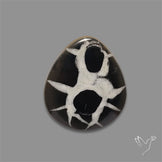 Black Septarian Cabochon
