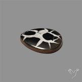 Black Septarian Cabochon