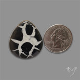 Black Septarian Cabochon